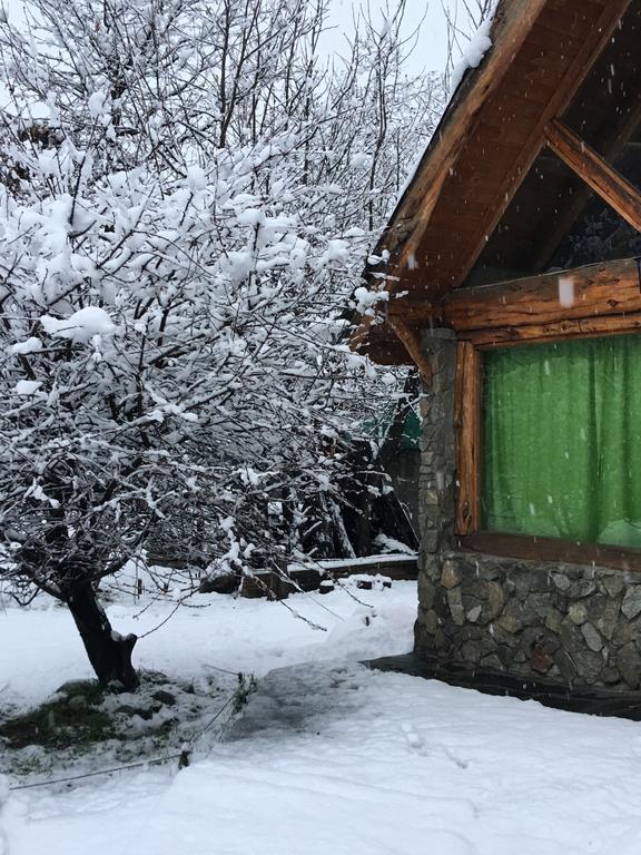 Cabanas Pehuenia Ostello El Bolsón Esterno foto